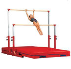 Fig Approval  Artistic Gymnastics Playground  Metal Horizontal Bars
